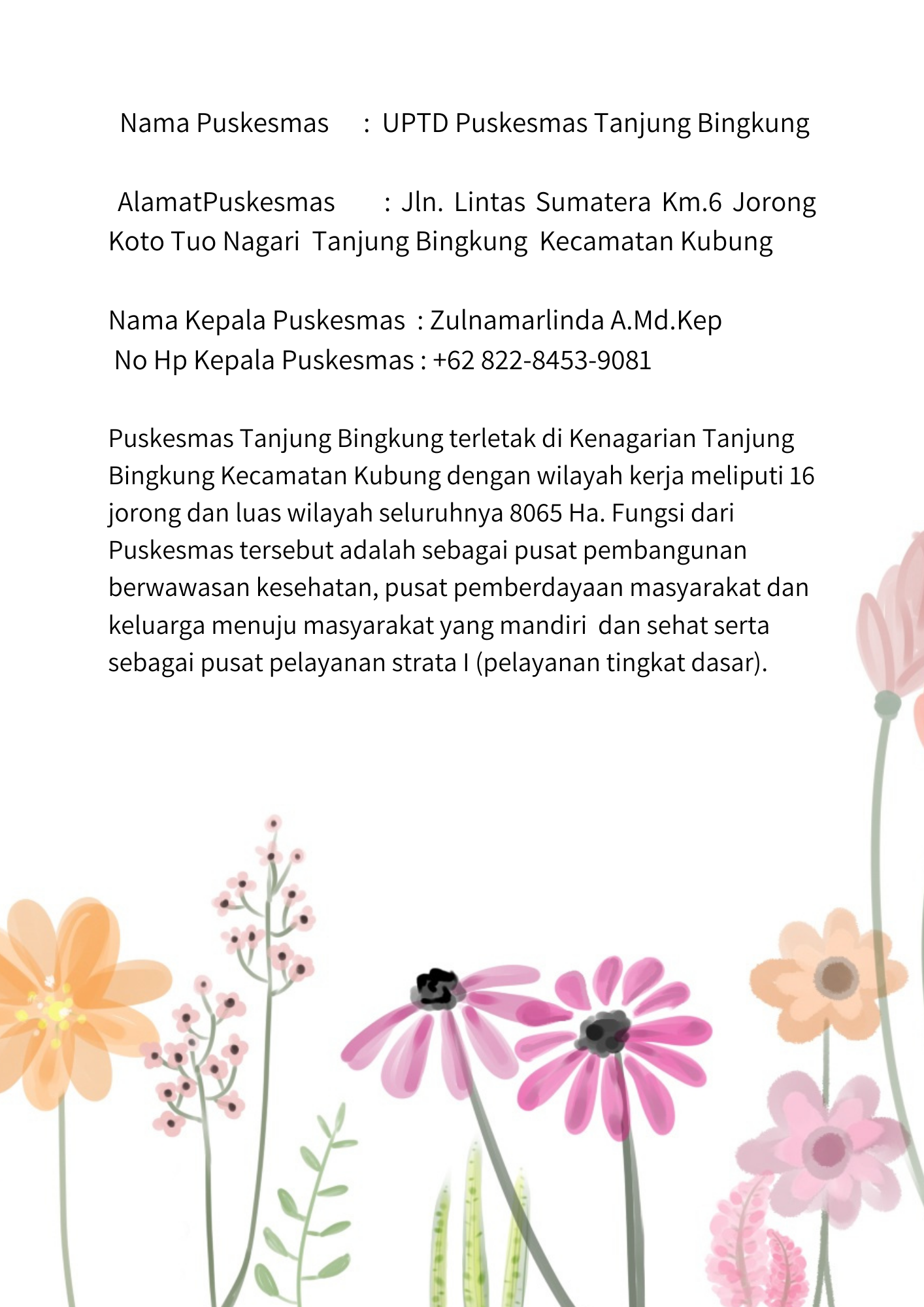 identitas_puskesmas1
